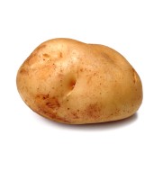 _potato _potato.jpg